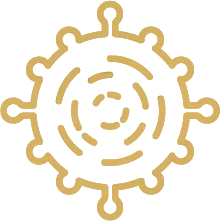 Choroby autoimmunologiczne