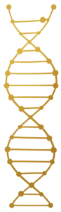 DNA