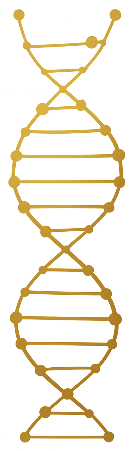 DNA