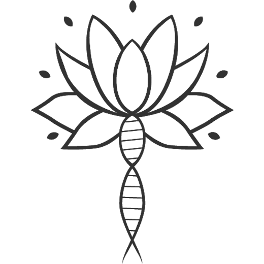 back to natural favicon