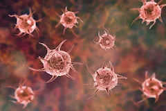 Owsik ludzki (Enterobius vermicularis)