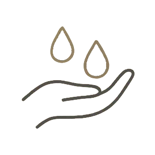 Rola układu limfatycznego i glimfatycznego