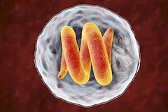 Włosień kręty (trichinella spiralis)